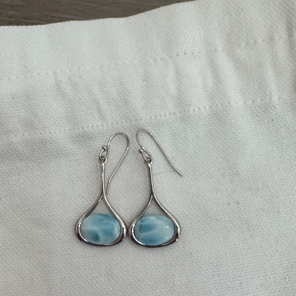 Elegant Silver and Blue Teardrop Earrings